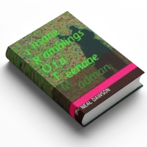 Insane Ramblings of a Teenage Madman