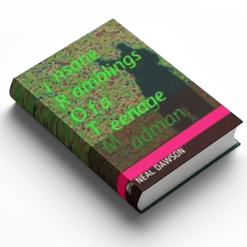 Insane Ramblings of a Teenage Madman